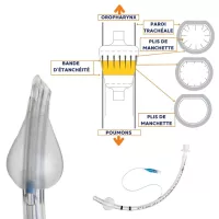 Sonde endotrachéale avec ballonnet Medtronic Shiley - La boîte de 10