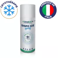 Spray froid menthe 400 ml