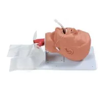 Simulateur d'intubation - Mannequin tête taille adulte