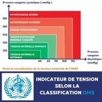 Tensiomètre poignet électronique ub 525 ihb